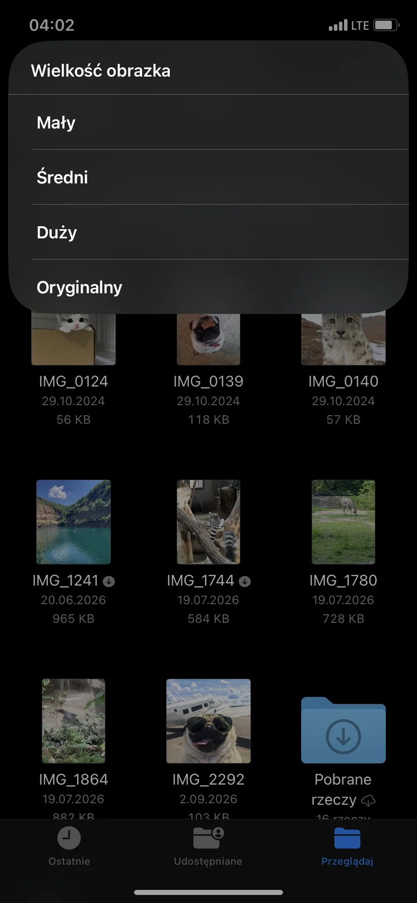 The Files app provides four output sizes for the converted image.