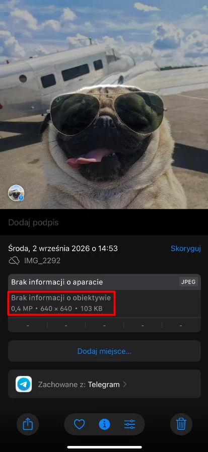 The info panel in the Photos app shows the format, dimensions, and file size.
